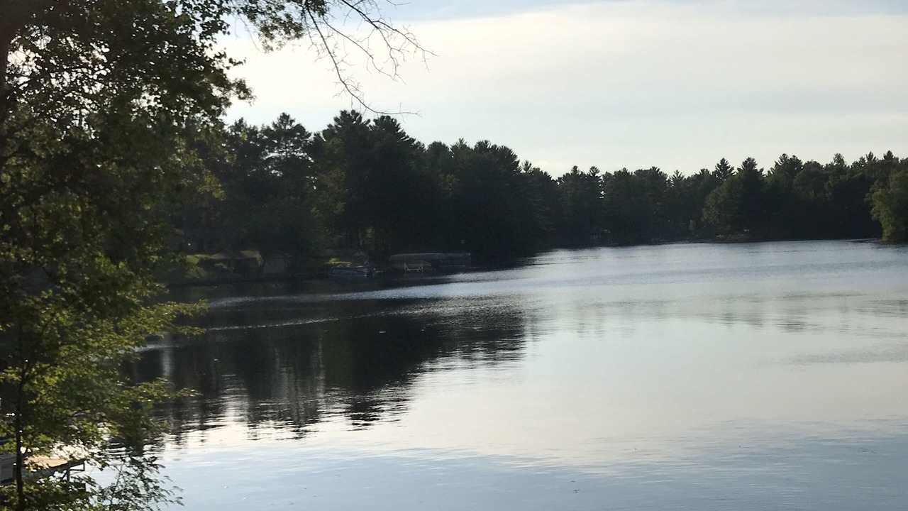 Photo of Outdoor in Holcombe