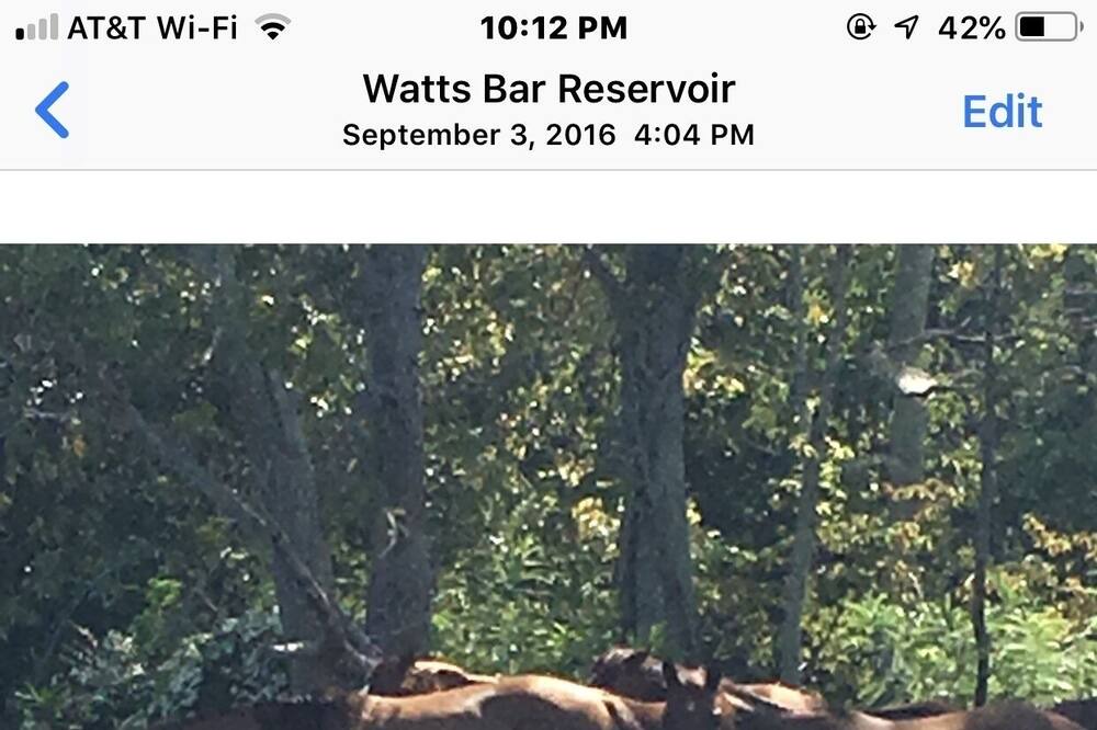 Photo of Outdoor in Kingston