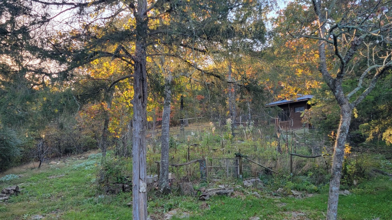 Photo of Others in Eureka Springs