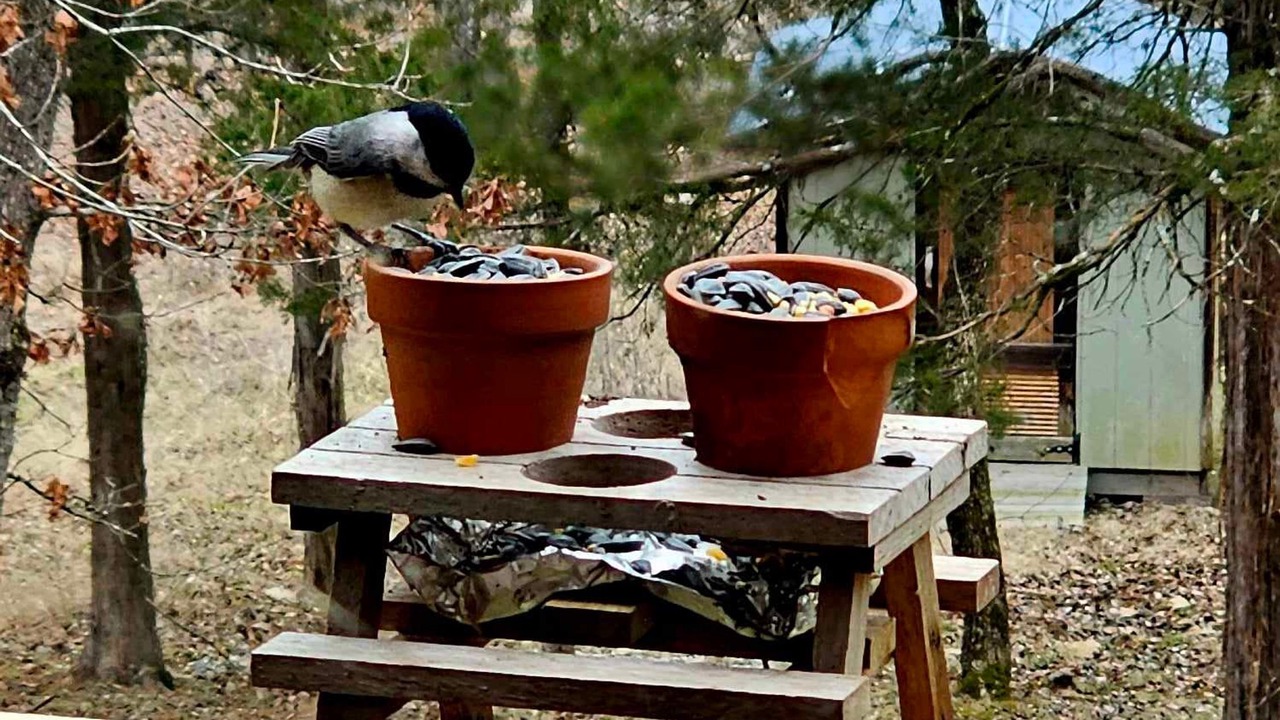 Photo of Others in Eureka Springs