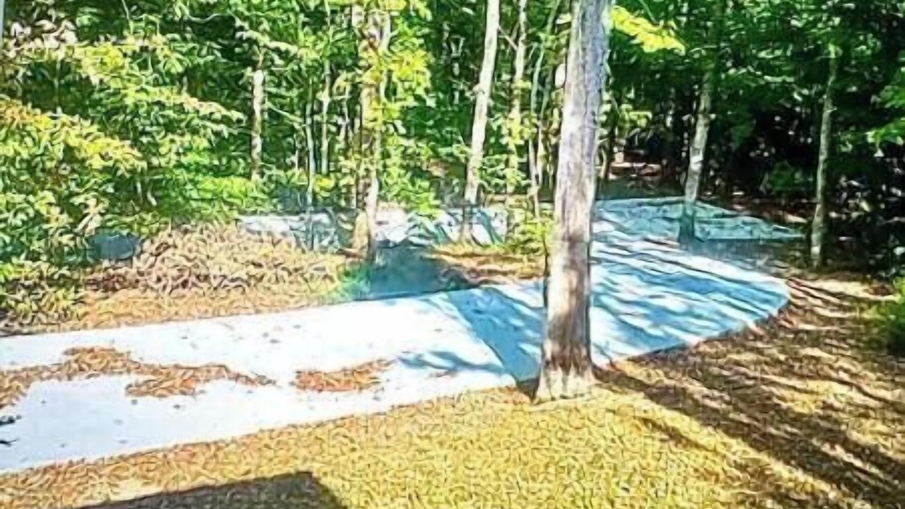 Photo of Outdoor in Ridgetop