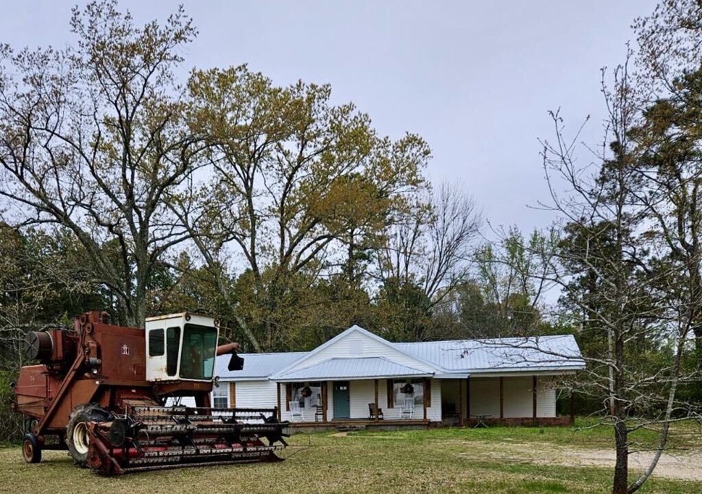 Photo of Outdoor in Chewalla