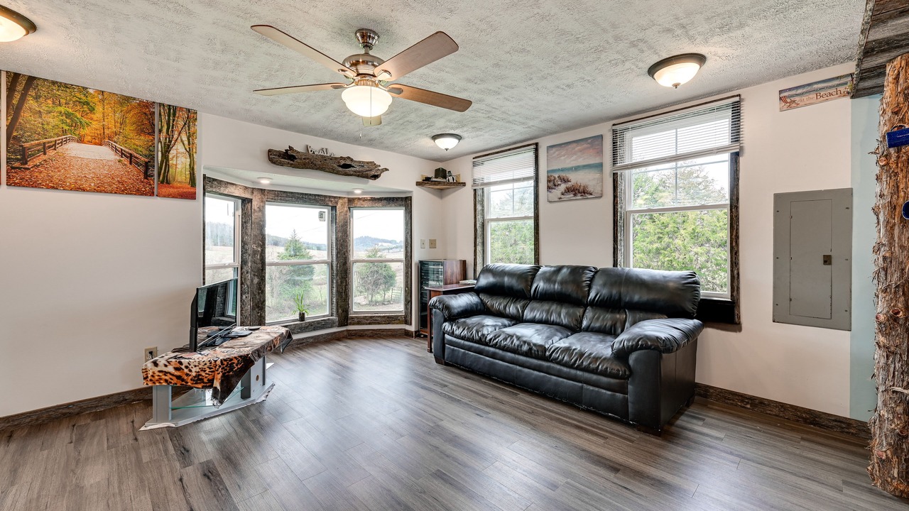 Photo of Livingroom in Hardyville