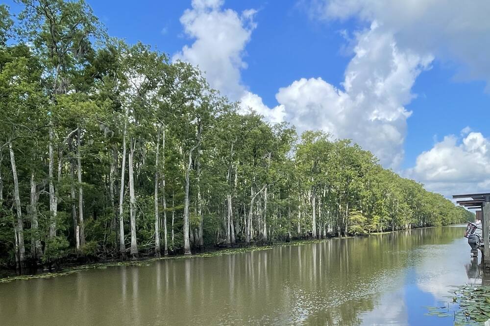 Photo of Others in Maurepas