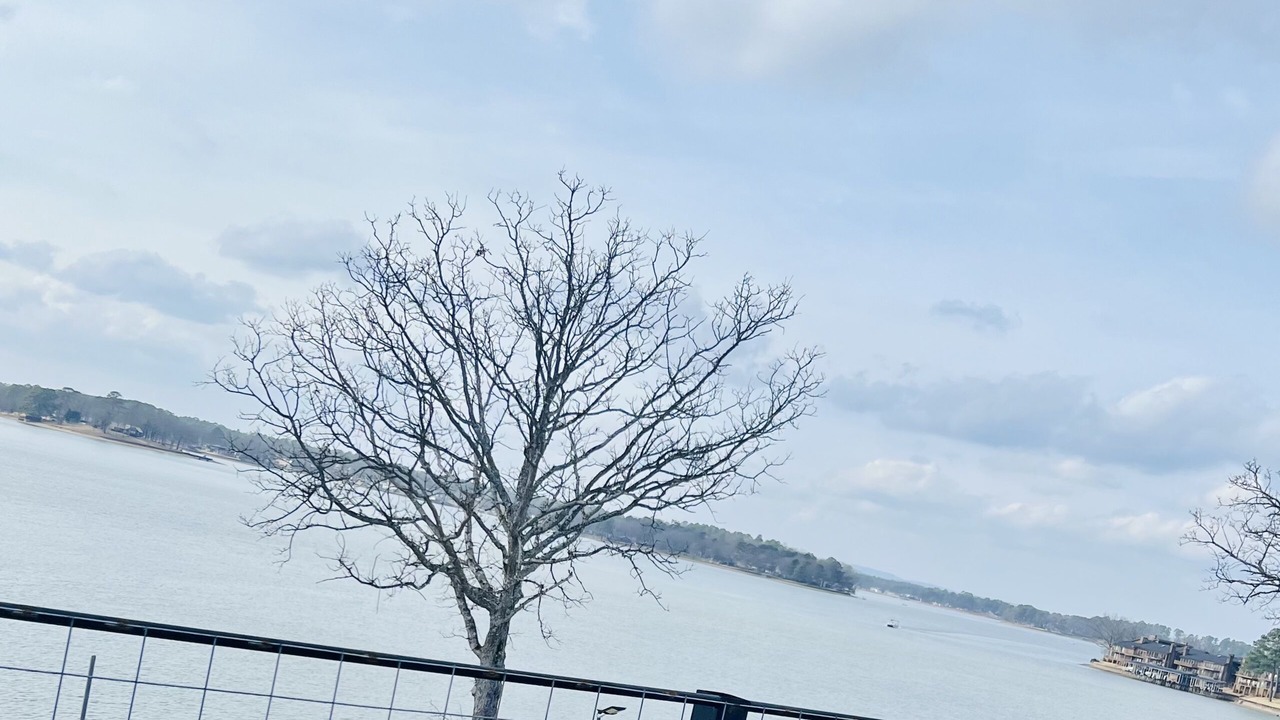 Photo of Others in Lake Hamilton
