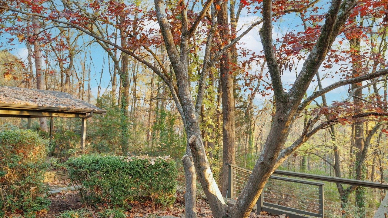 Photo of Outdoor in River Mountain