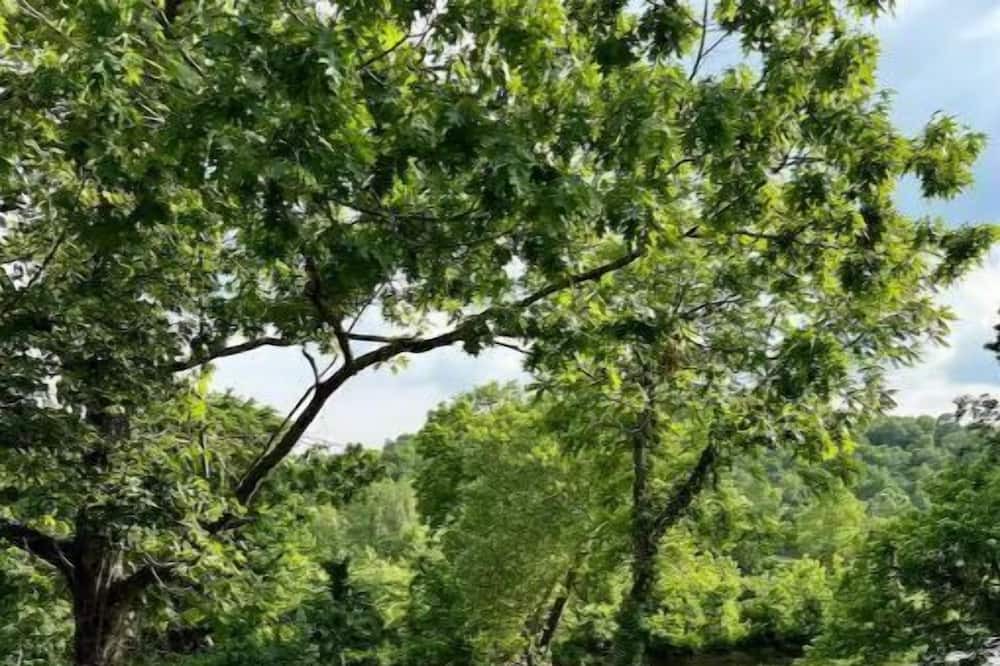 Photo of Outdoor in Hardy