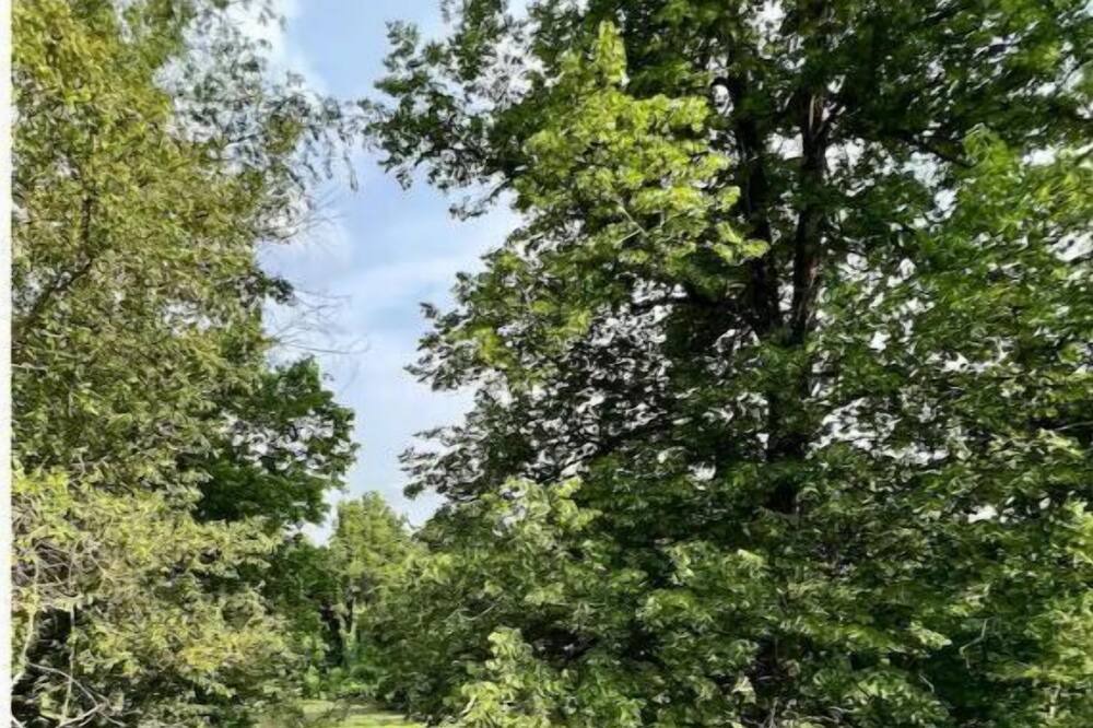 Photo of Outdoor in Hardy