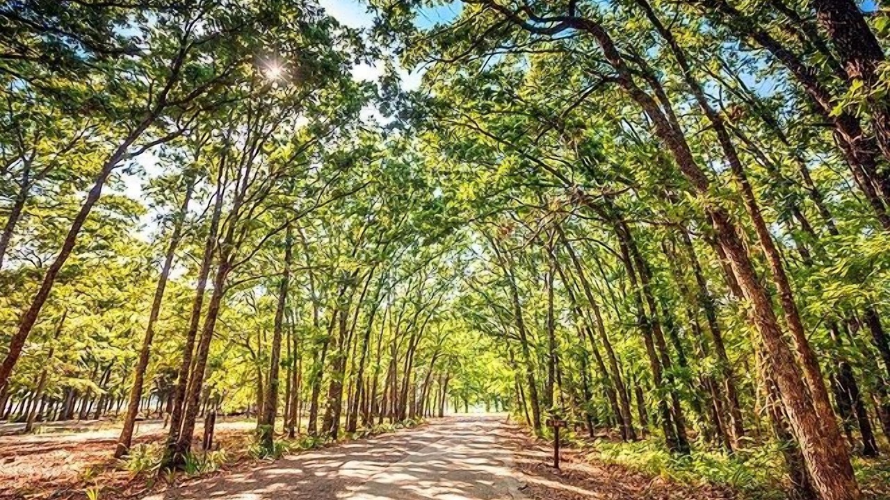 Photo of Outdoor in Point