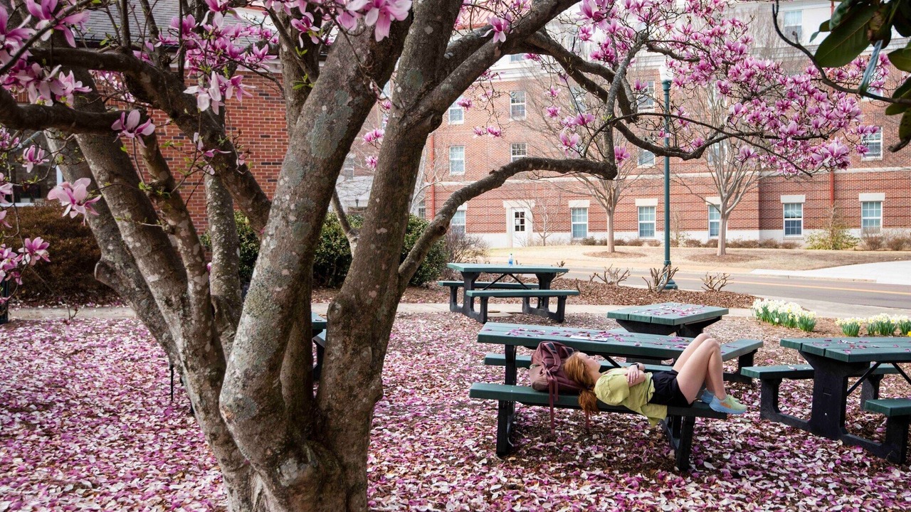 Photo of Outdoor in University