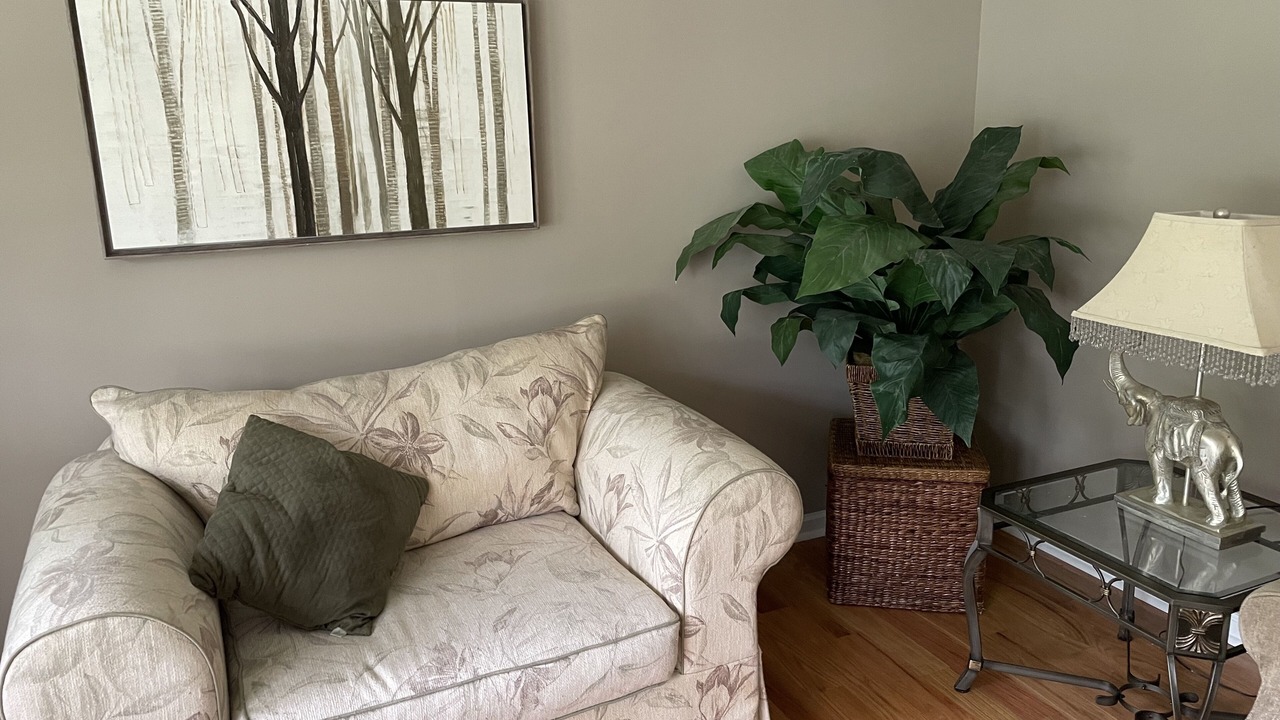Photo of Livingroom in Bellevue