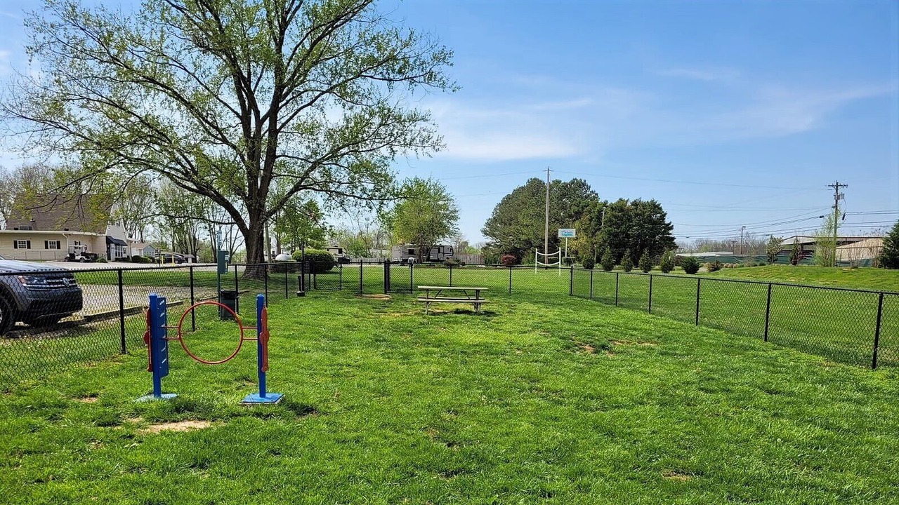 Photo of Outdoor in Clarksville