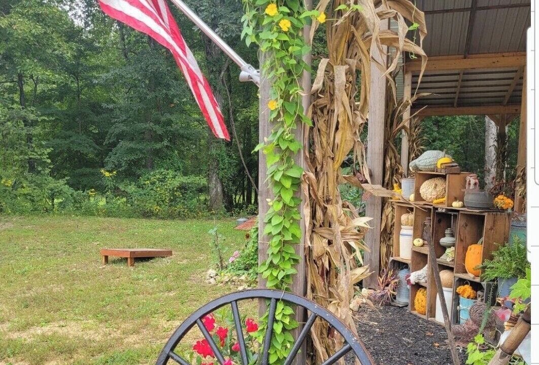 Photo of Outdoor in Linden
