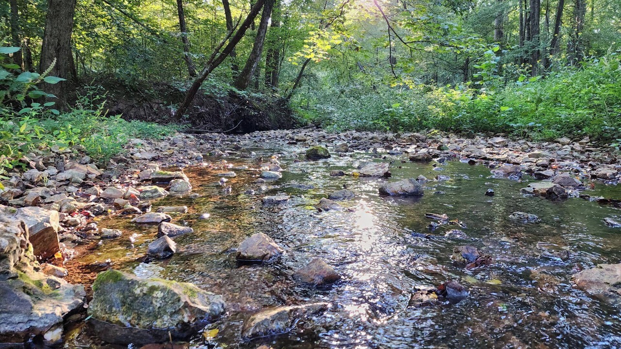 Photo of Outdoor in Linden