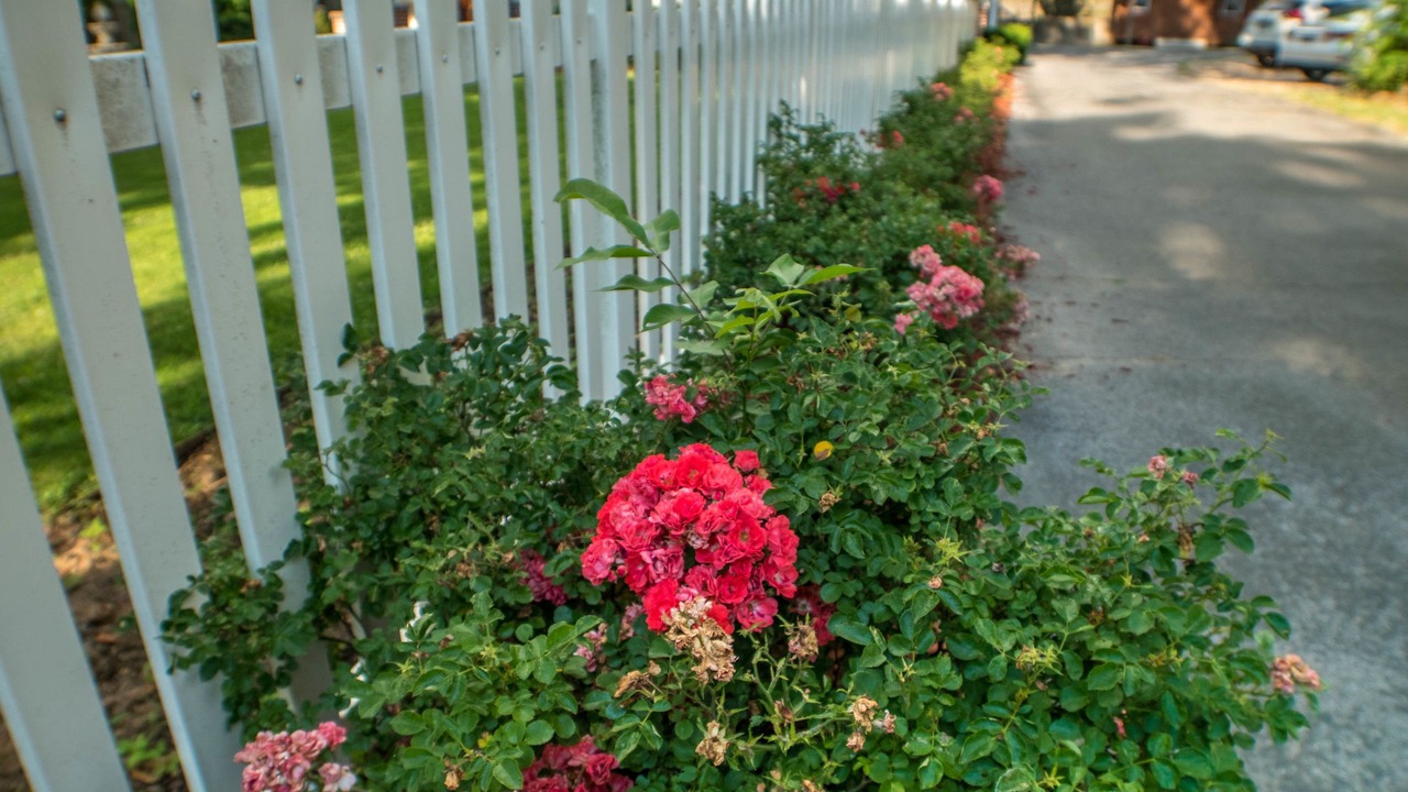 Photo of Outdoor in Downtown