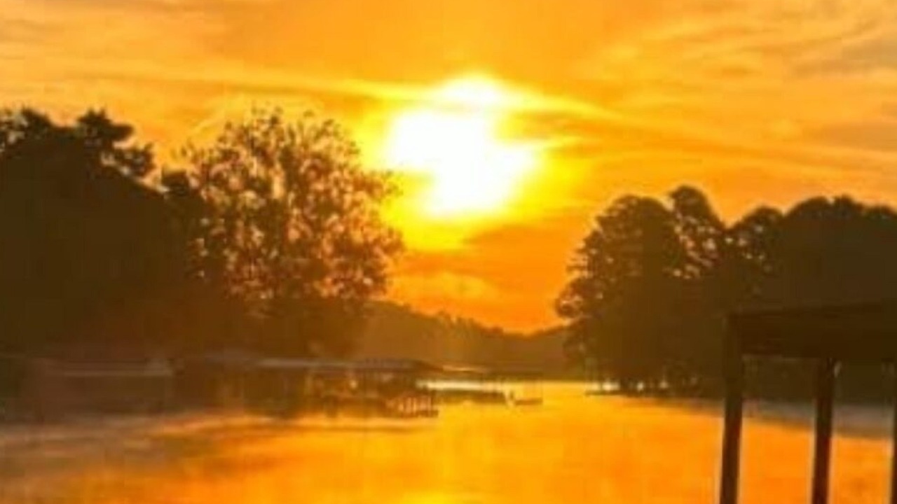Photo of Others in Lake Hamilton