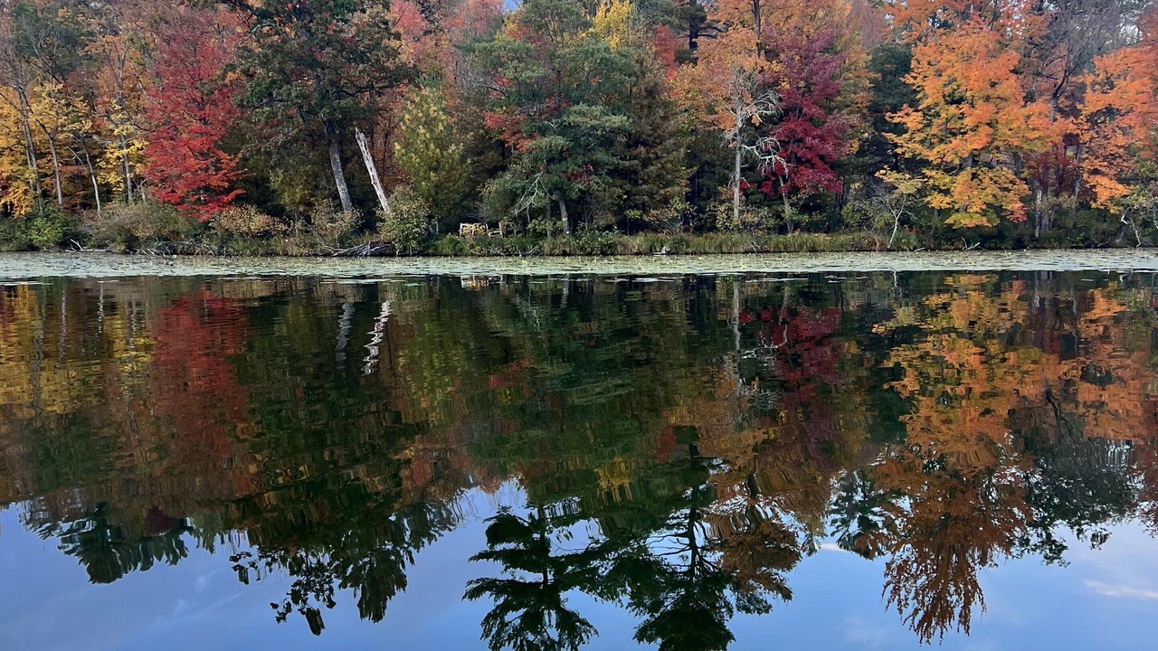 Photo of Outdoor in Brill