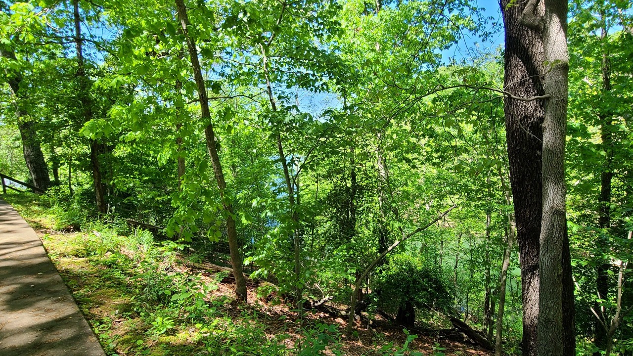 Photo of Outdoor in Bella Vista
