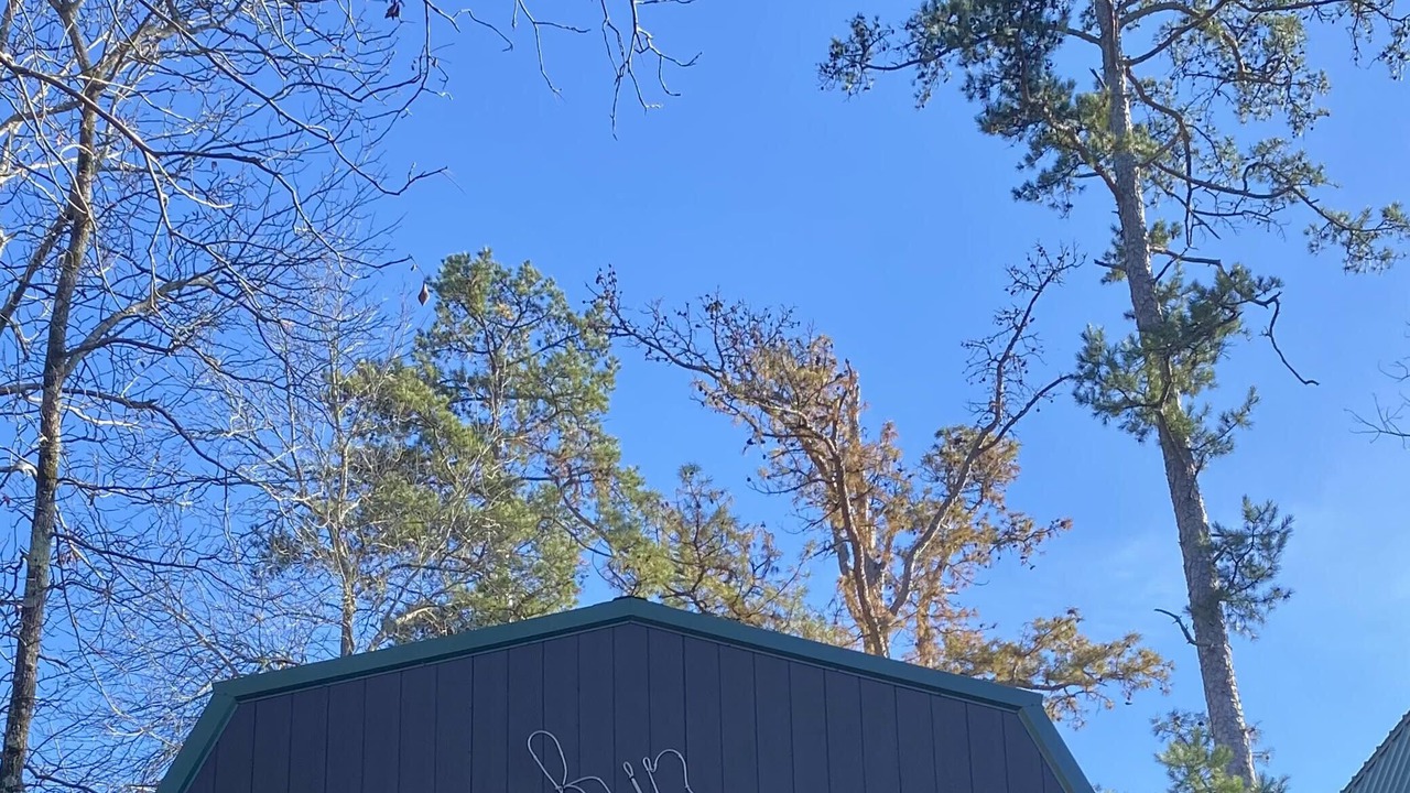 Photo of Outdoor in Mid America