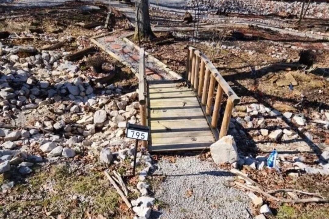 Photo of Others in Cub Run