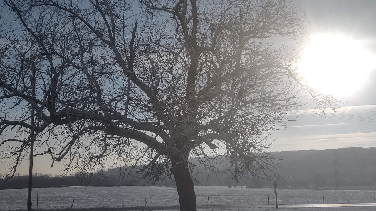 Photo of Outdoor in Pauline
