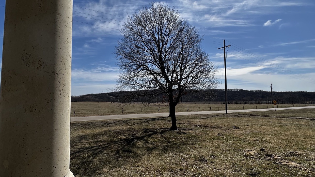 Photo of Outdoor in Pauline