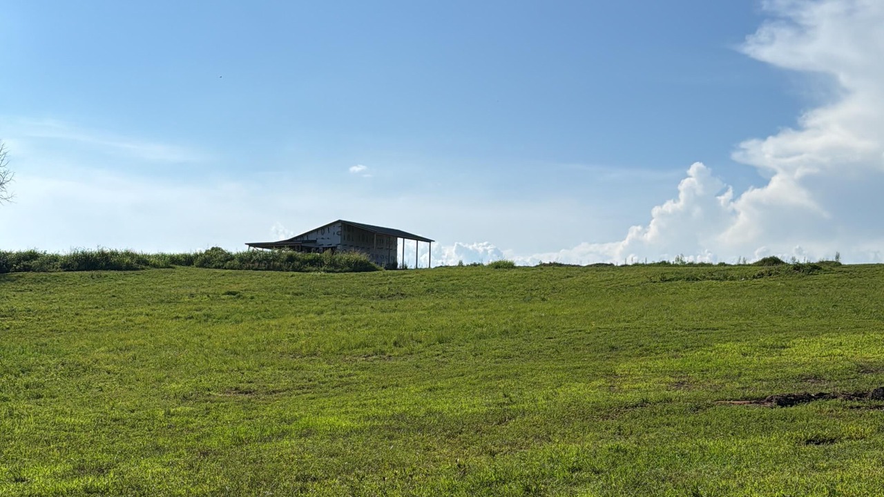 Photo of Outdoor in Horse Cave