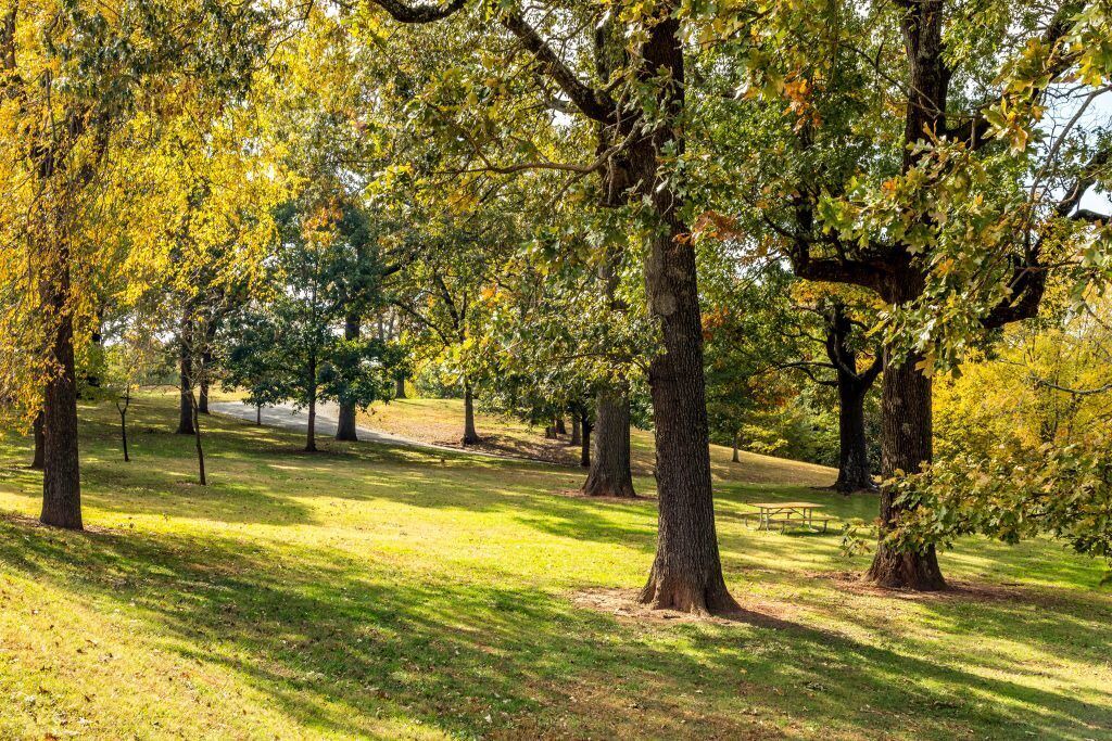 Photo of Outdoor in Capital View
