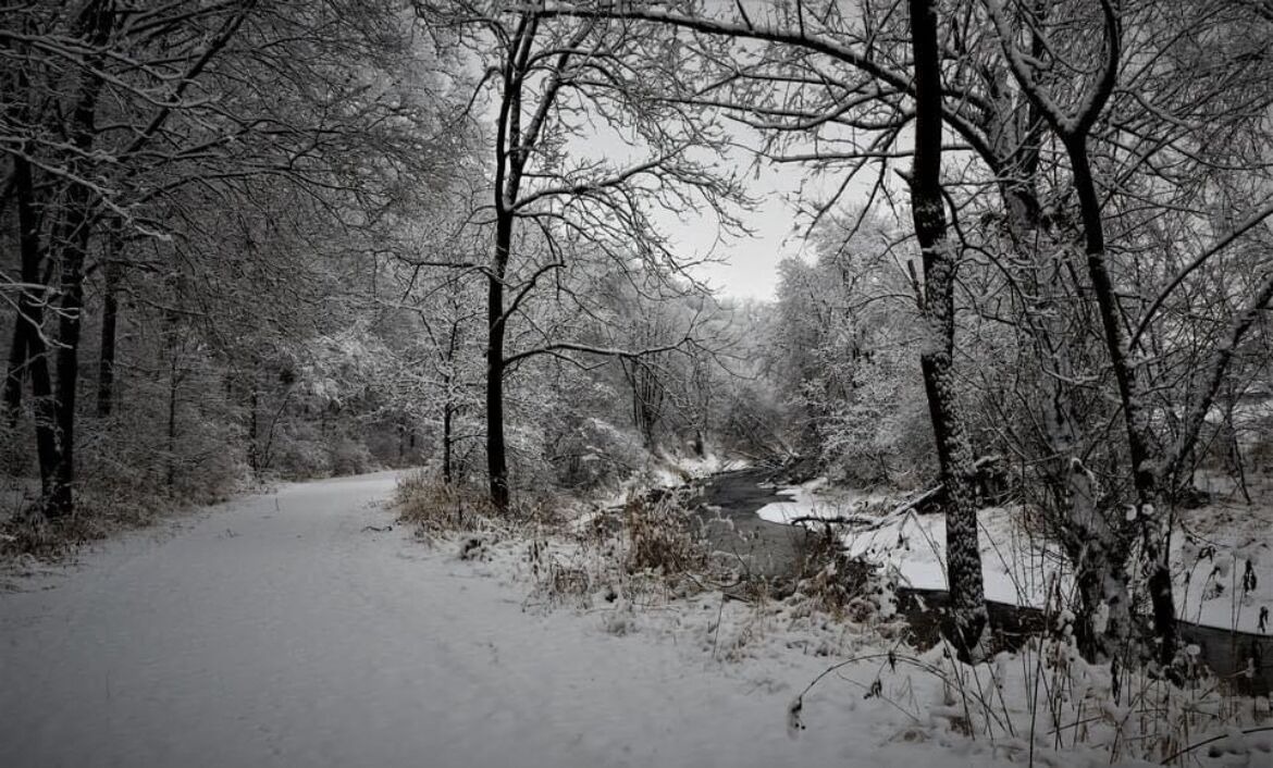 Photo of Outdoor in Preston