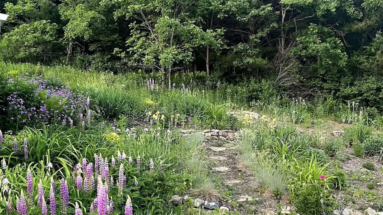 Photo of Outdoor in La Farge