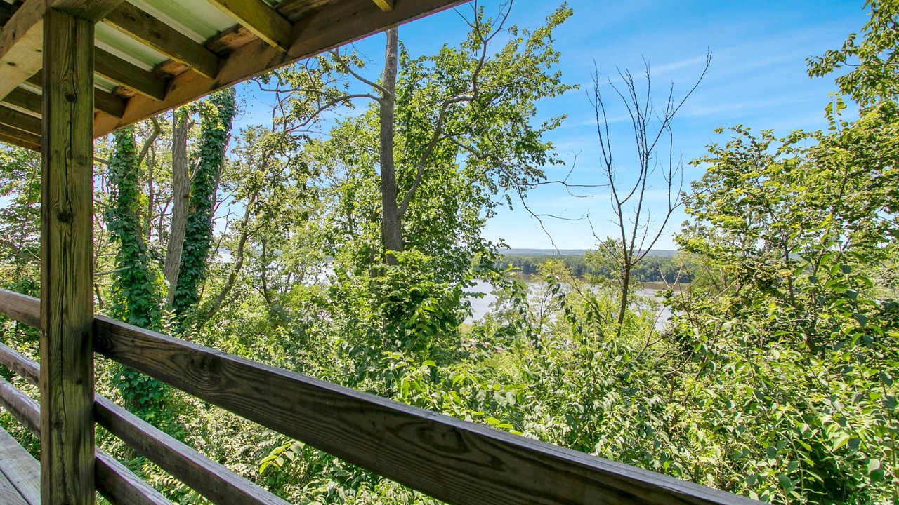 Photo of Outdoor in Savanna