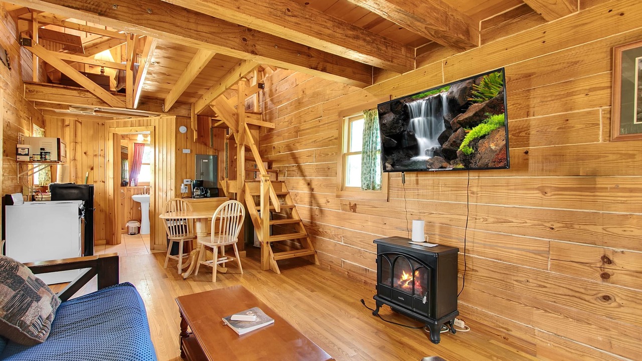 Photo of Livingroom in Savanna