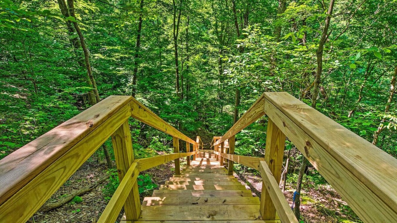Photo of Outdoor in Cub Run