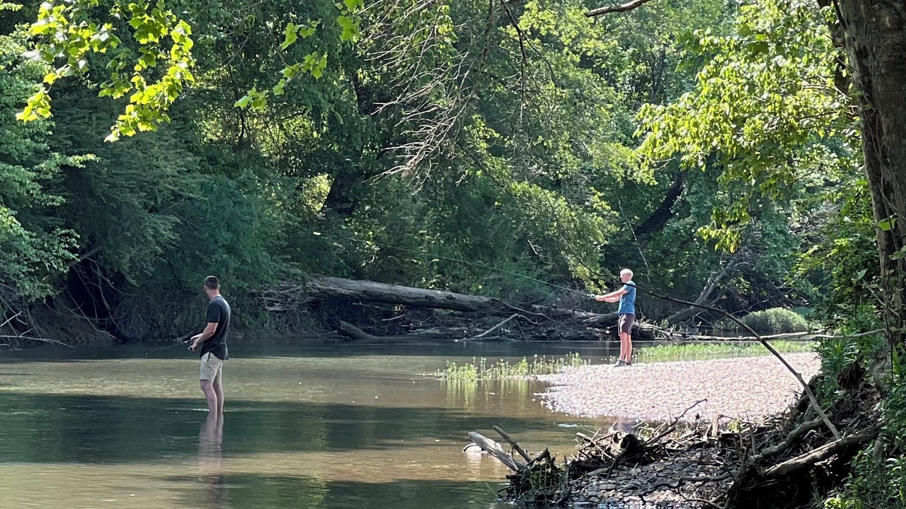 Photo of Others in Nashville