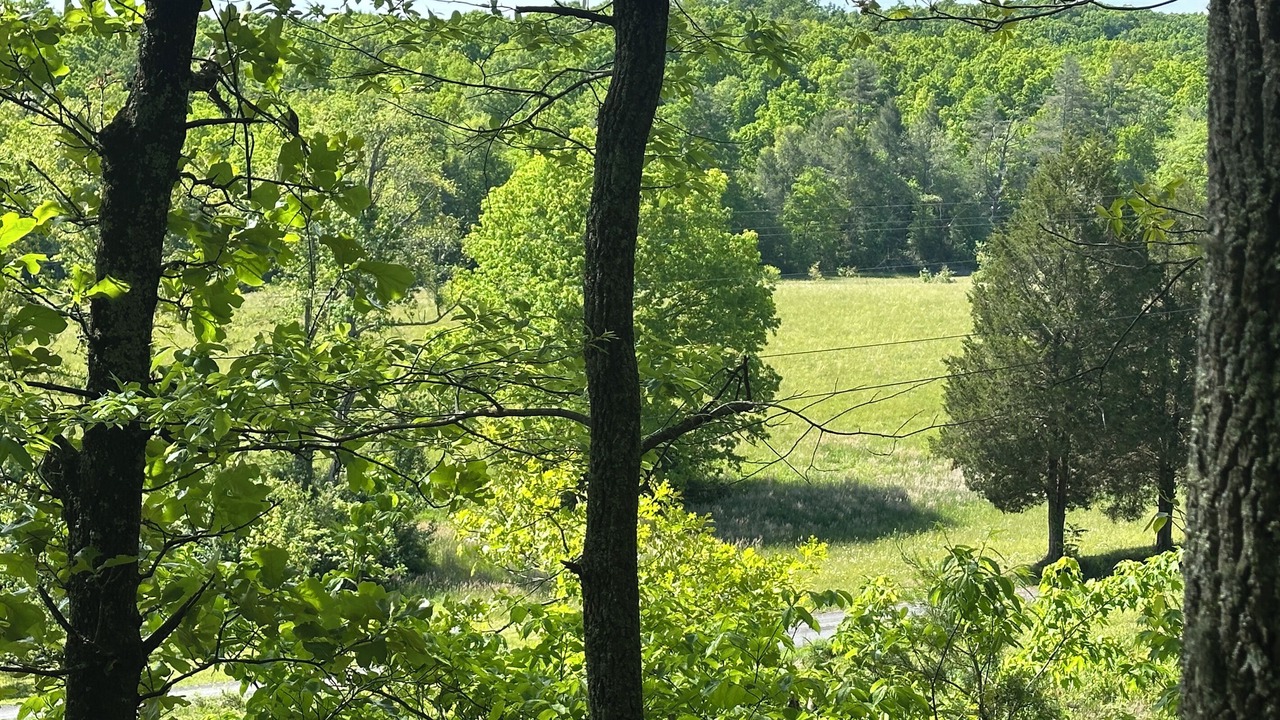 Photo of Others in Grandview