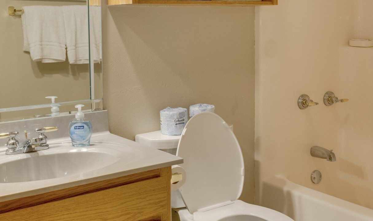 Photo of Bathroom in Hot Springs Village