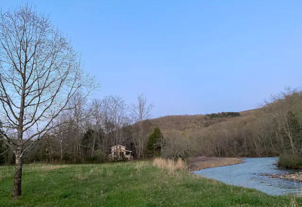 Photo of Others in Pettigrew