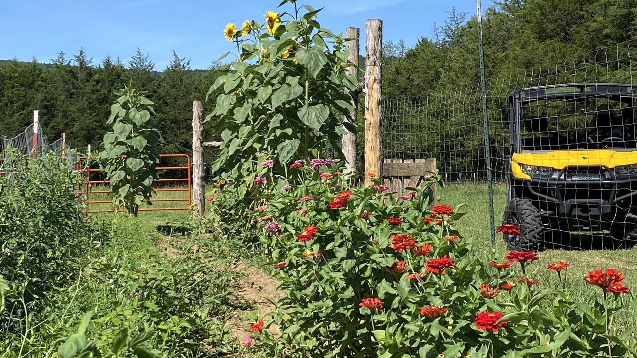 Photo of Outdoor in Pettigrew