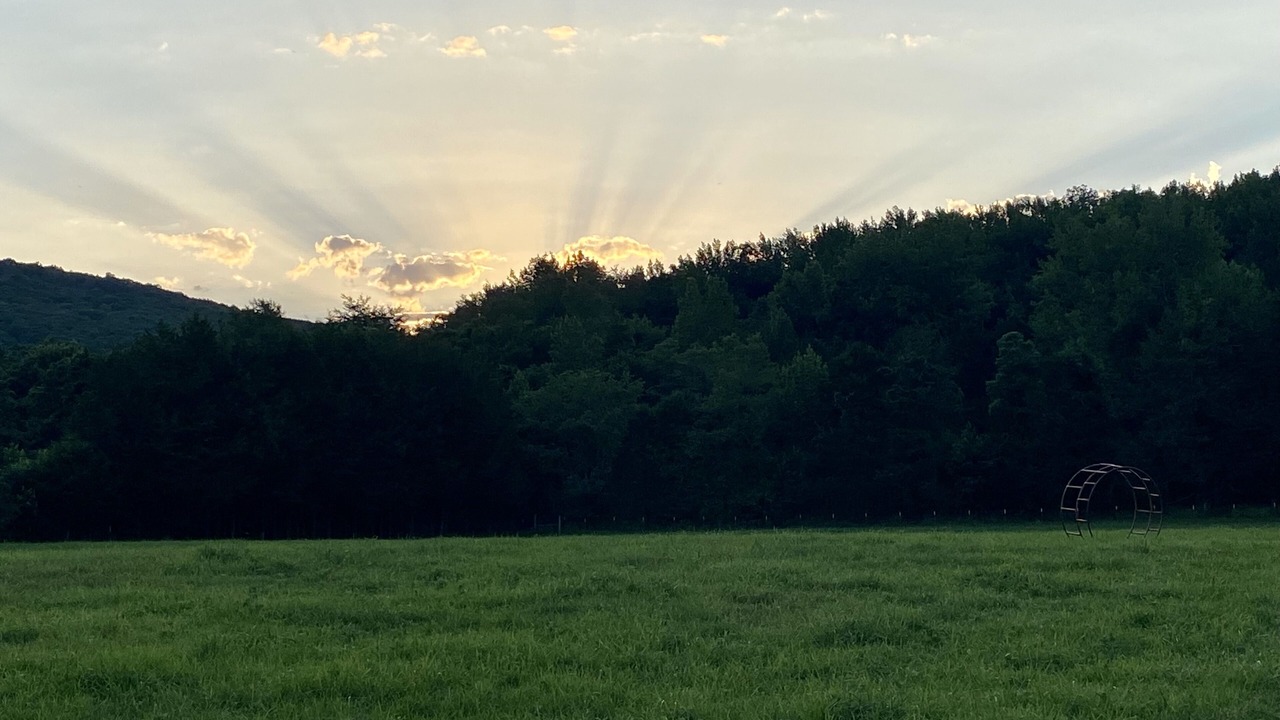 Photo of Outdoor in Pettigrew