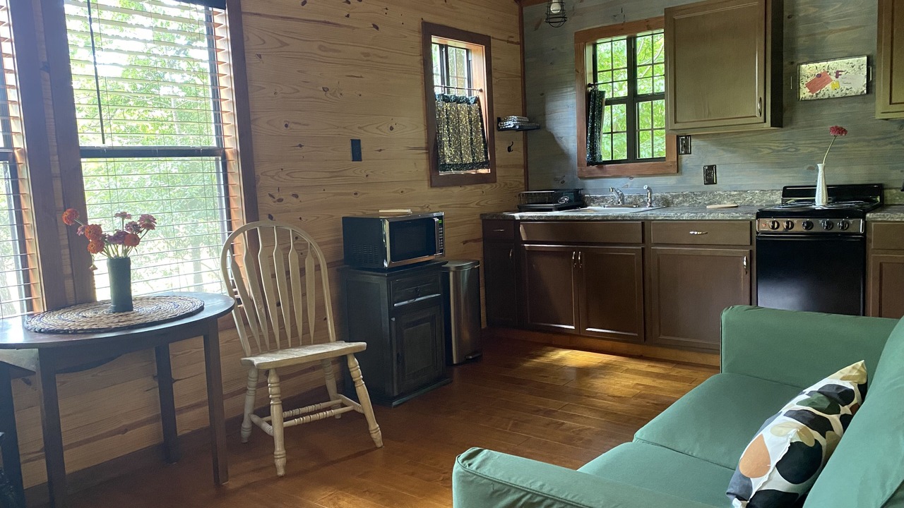 Photo of Livingroom in Pettigrew