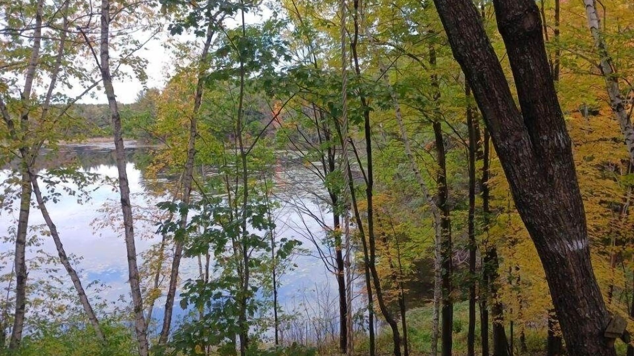 Photo of Outdoor in King