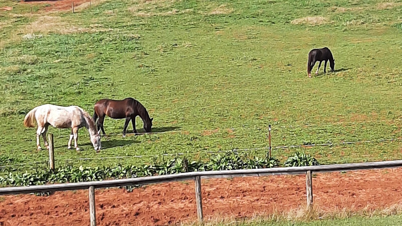 Photo of Outdoor in Sweetwater