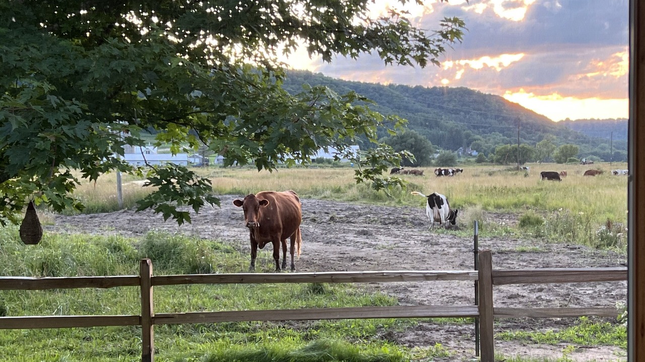 Photo of Outdoor in Westby