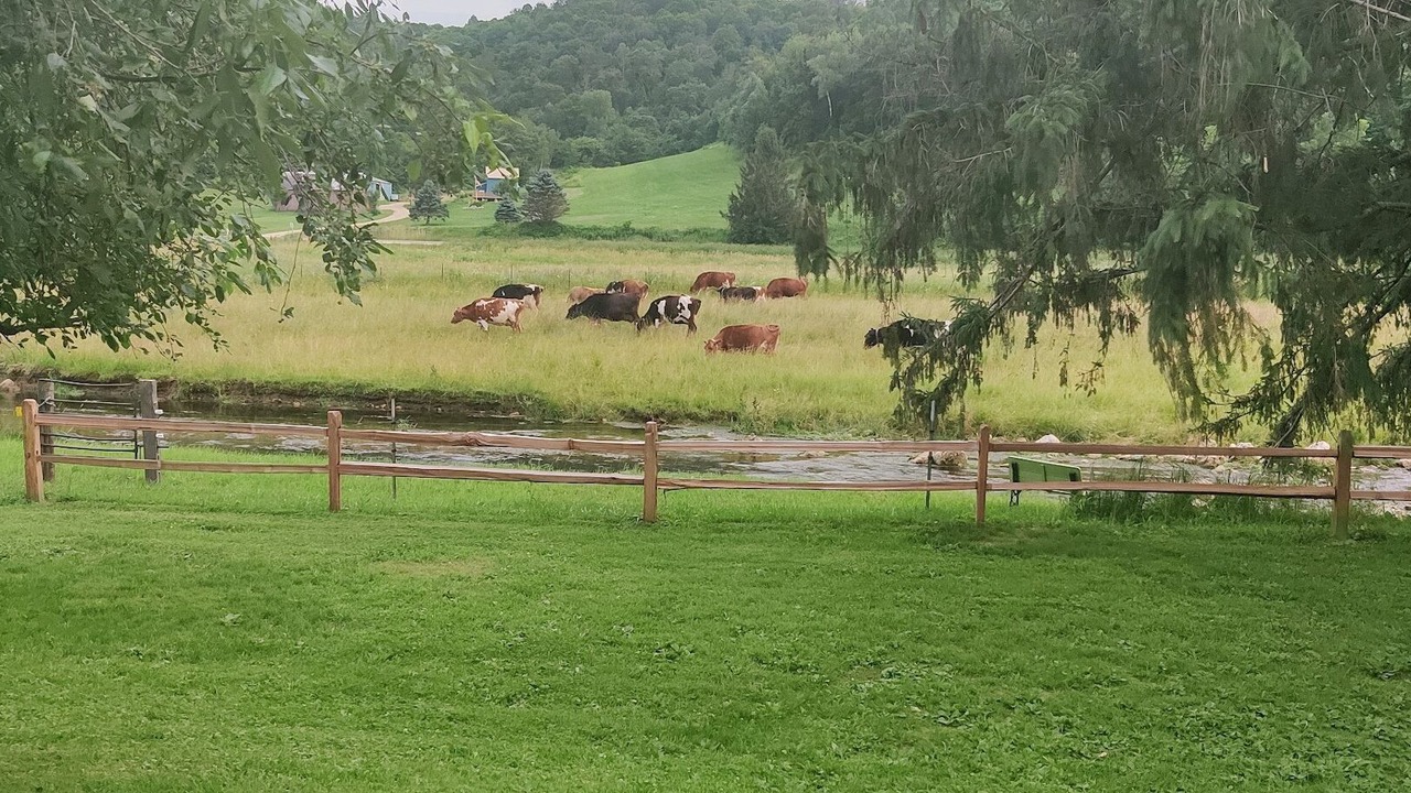Photo of Outdoor in Westby