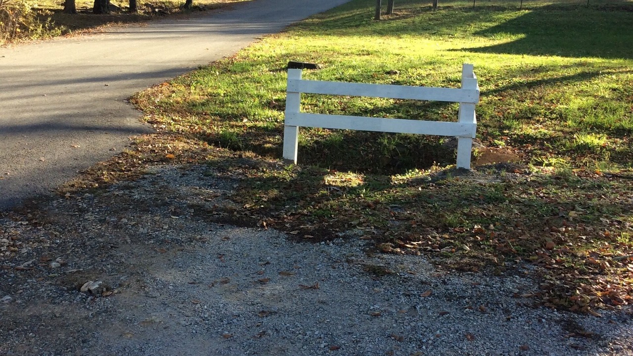 Photo of Others in Marshall