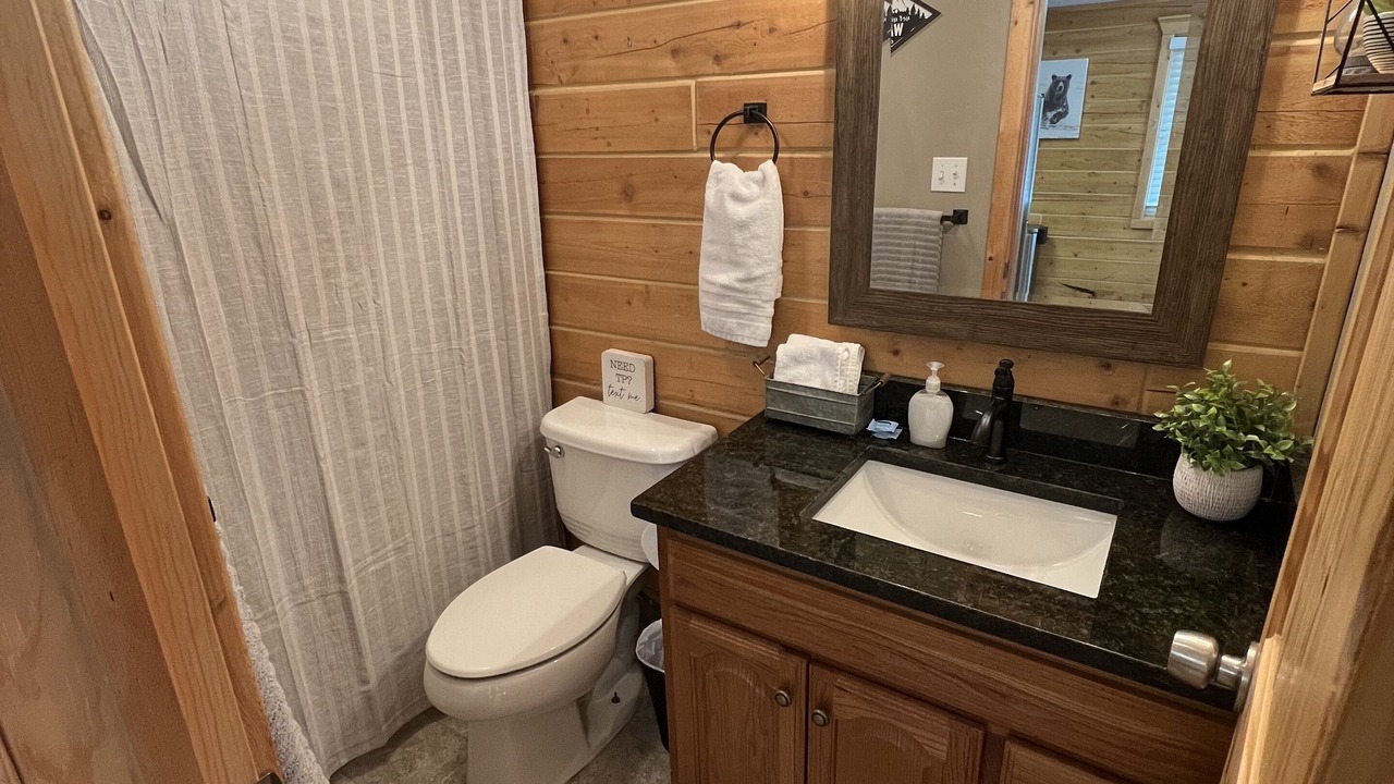 Photo of Bathroom in Wasilla