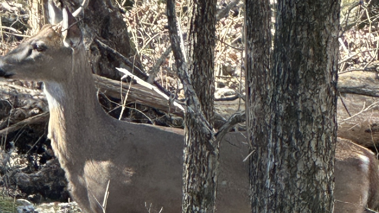 Photo of Others in Wilson County