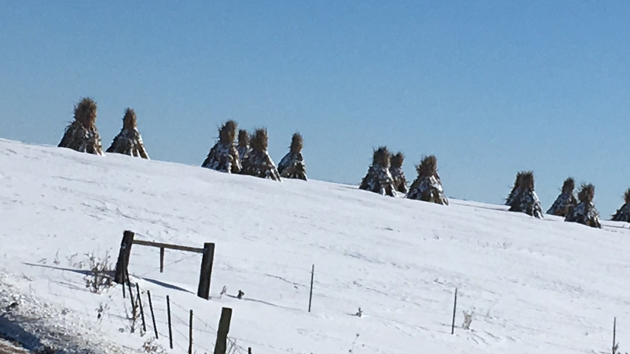 Photo of Others in La Farge