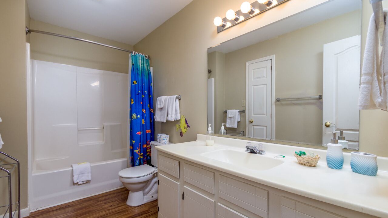 Photo of Bathroom in Hot Springs Village