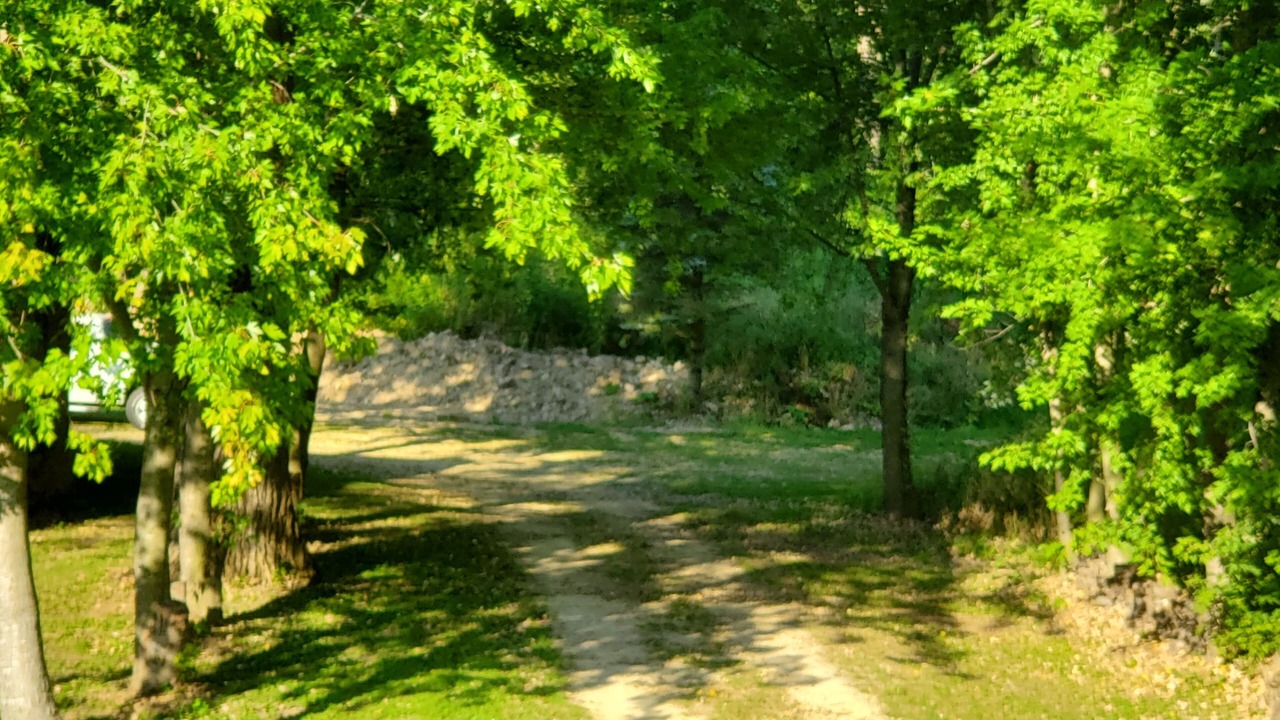 Photo of Others in Guttenberg